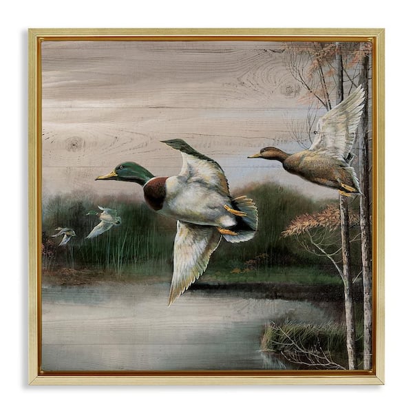 Stupell Industries Flying Ducks in Rustic Nature by Ruane Manning Gold Floater Frame Animal Graphic Art Print 18 in. x 18 in.