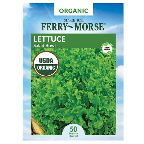 Organic Lettuce Salad Bowl Vegetable Seed
