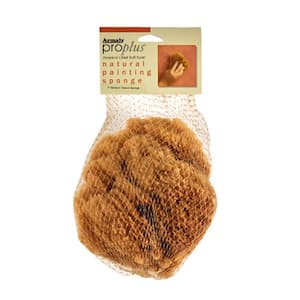 5 in. Painting Natural Sea Sponge Coarse Texture (Case of 6)