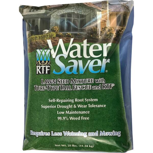 Barenbrug  Water Saver  Tall Fescue  Lawn Seed Blend  25 lb. 