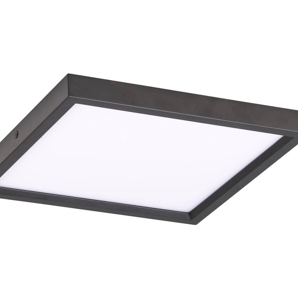 Coal Black Glass LED Indoor/Outdoor Flush Mount Light