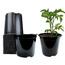 https://images.thdstatic.com/productImages/0e85d485-d514-43ef-abb5-777ceaebb79c/svn/black-viagrow-net-pots-vhpp50-20-64_65.jpg