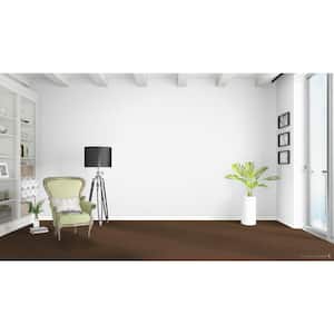 Happy Chance  - Chipper - Brown 30 oz. SD Polyester Texture Installed Carpet