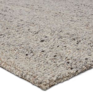 Lamay Gray/Brown 8 ft. x 10 ft. Solid Area Rug