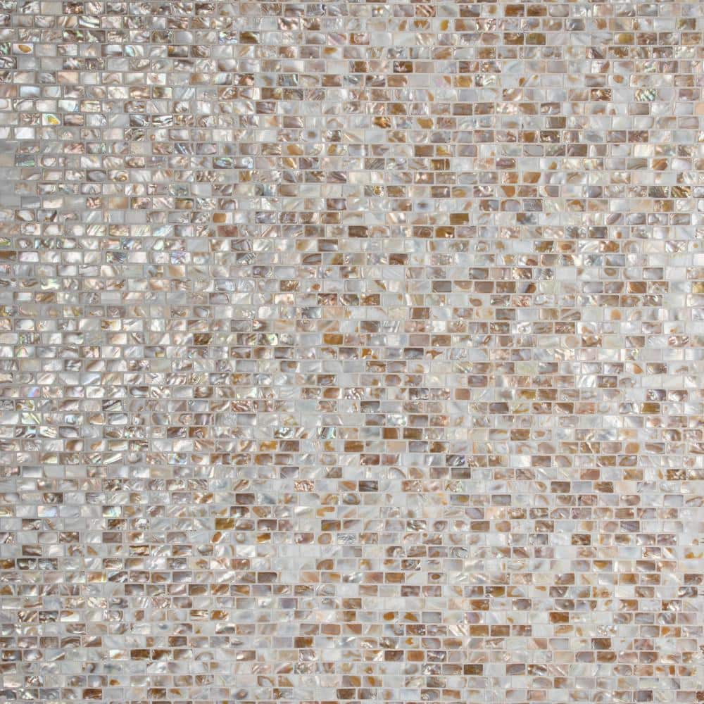 seachel⭐︎ seashell-plank-marmoleum-