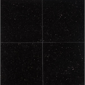 Black Galaxy 12 in. x 12 in. Polished Granite Floor and Wall Tile (10 sq. ft. / case)