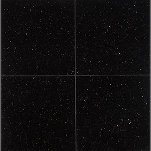 Daltile Absolute Black 12 in. x 12 in. Natural Stone Floor and