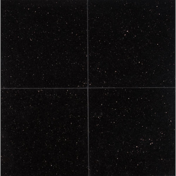 MSI Premium Black 12 x 12 Granite Floor and Wall Tile