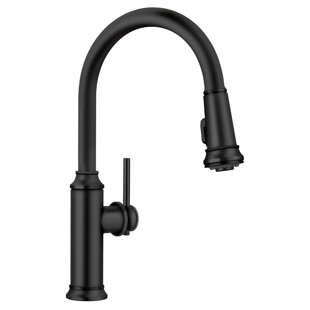 Blanco Empressa Single-Handle Gooseneck Pull-Down Sprayer Kitchen Faucet in Matte Black