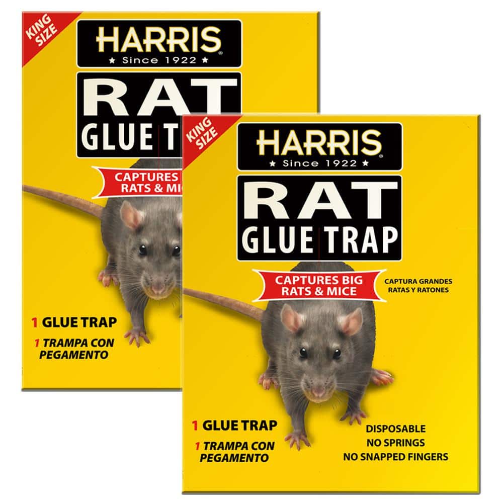 4 To 24 Pcs Disposable Glue Traps for Mice Rats Mouse Super Stick Tray US Seller 