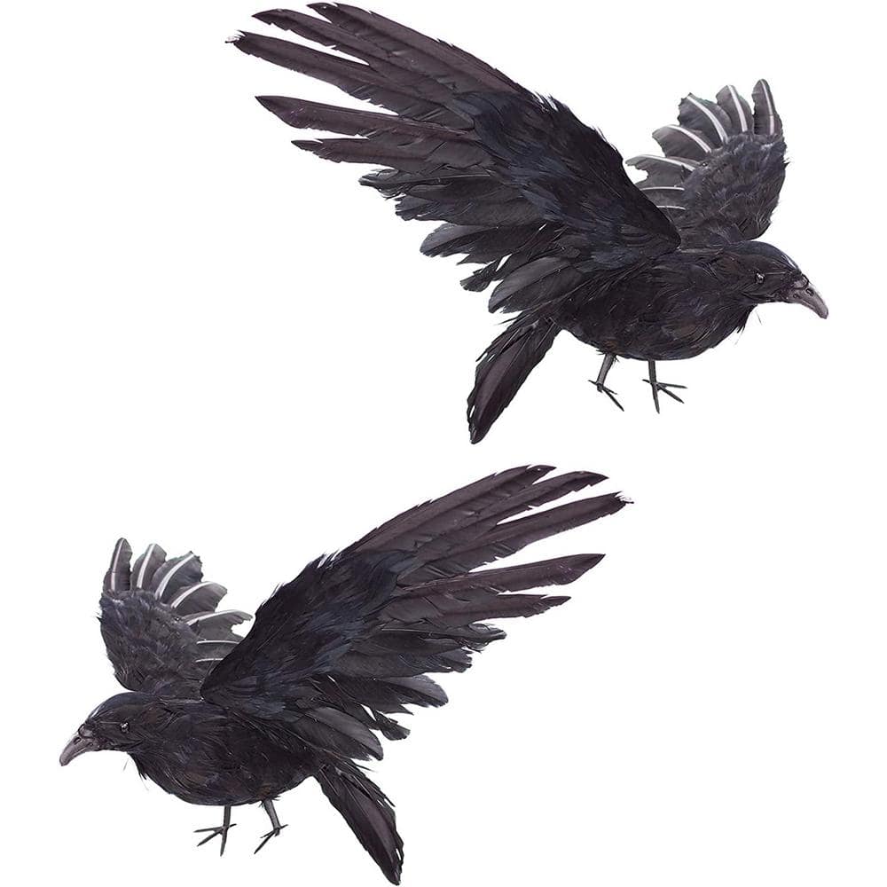 Realistic Crows Lifesize Extra Large Handmade Black Feathered Crow for Hall