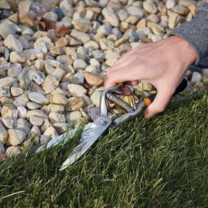 Forged Grass Bypass Shears