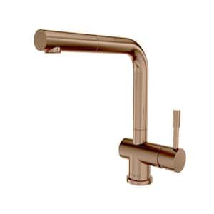 Nassau 1-Handle Pull Out Sprayer Kitchen Faucet (With Spray Feature) in Rose Gold