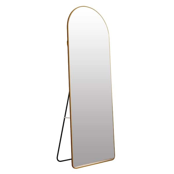 Unbranded 23 in. W x 65 in. H Oval Aluminium Frame Wall Mirror Bathroom Vanity Mirror Decorative Mirror Floor Mounted Mirror