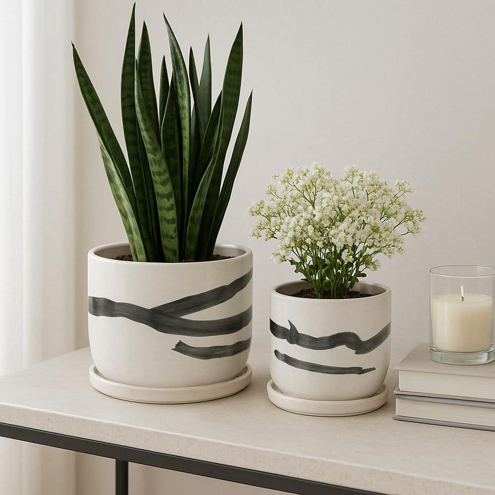 Liv & Skye 5 in. and 6 in. White Ceramic Painted with Saucer Planters ...