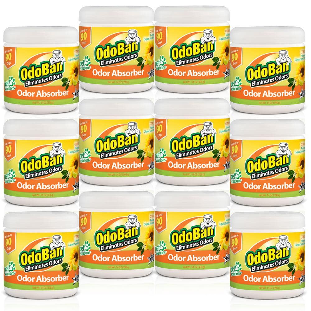 OdoBan 14 oz. Citrus Solid Odor Absorber, Odor Eliminator for Smoke