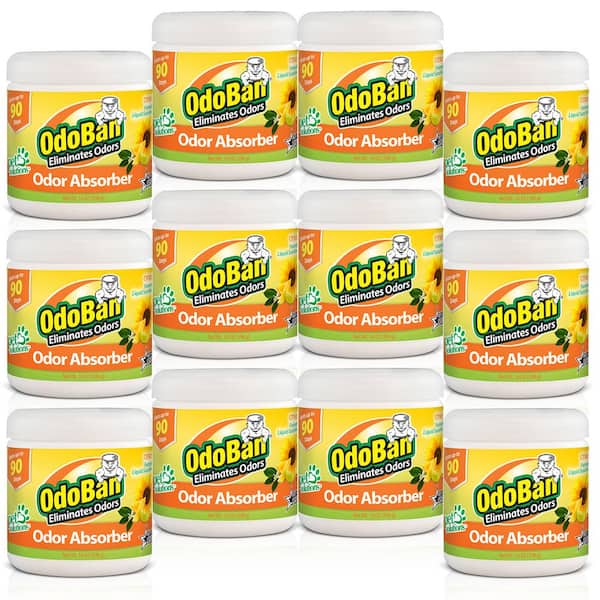 OdoBan 14 oz. Citrus Solid Odor Absorber, Odor Eliminator for Smoke Odor & Musty Smell in Home, Bathroom, Pet Areas (12 Pack)