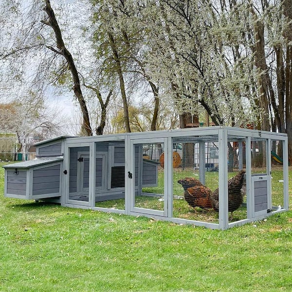 aivituvin Large Hen House with Run for 4-6 Chickens