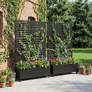 72 in. H x 47 in. W x 16 in. L Metal Black Rectangle Pots and Planter Raised Box with Trellis(Set of 2)
