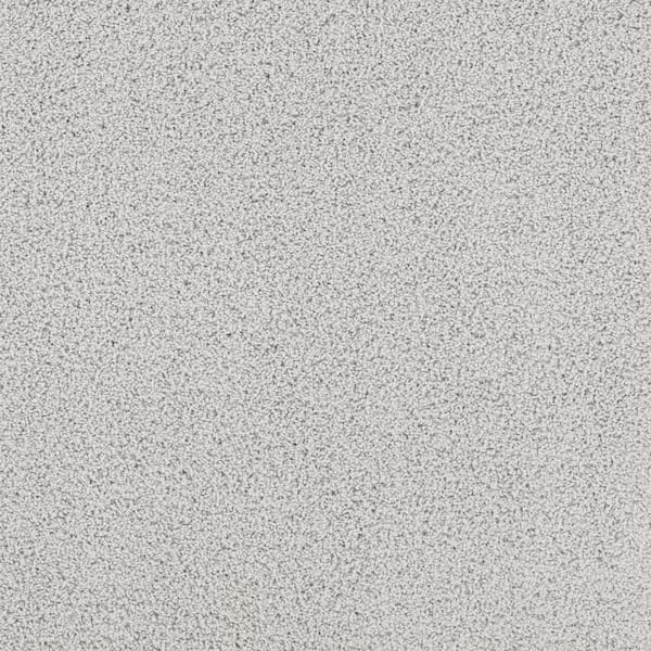 Lifeproof Around The World - Heavenly - Gray 56.2 oz. Nylon Texture Installed Carpet