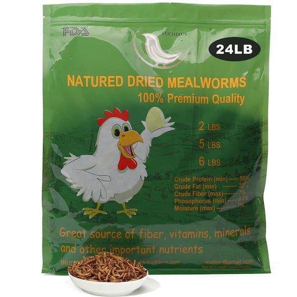 Euchirus 24 lbs. Non-GMO Dried Mealworms for Wild Bird Chicken Fish, High-Protein, Large Meal Worms