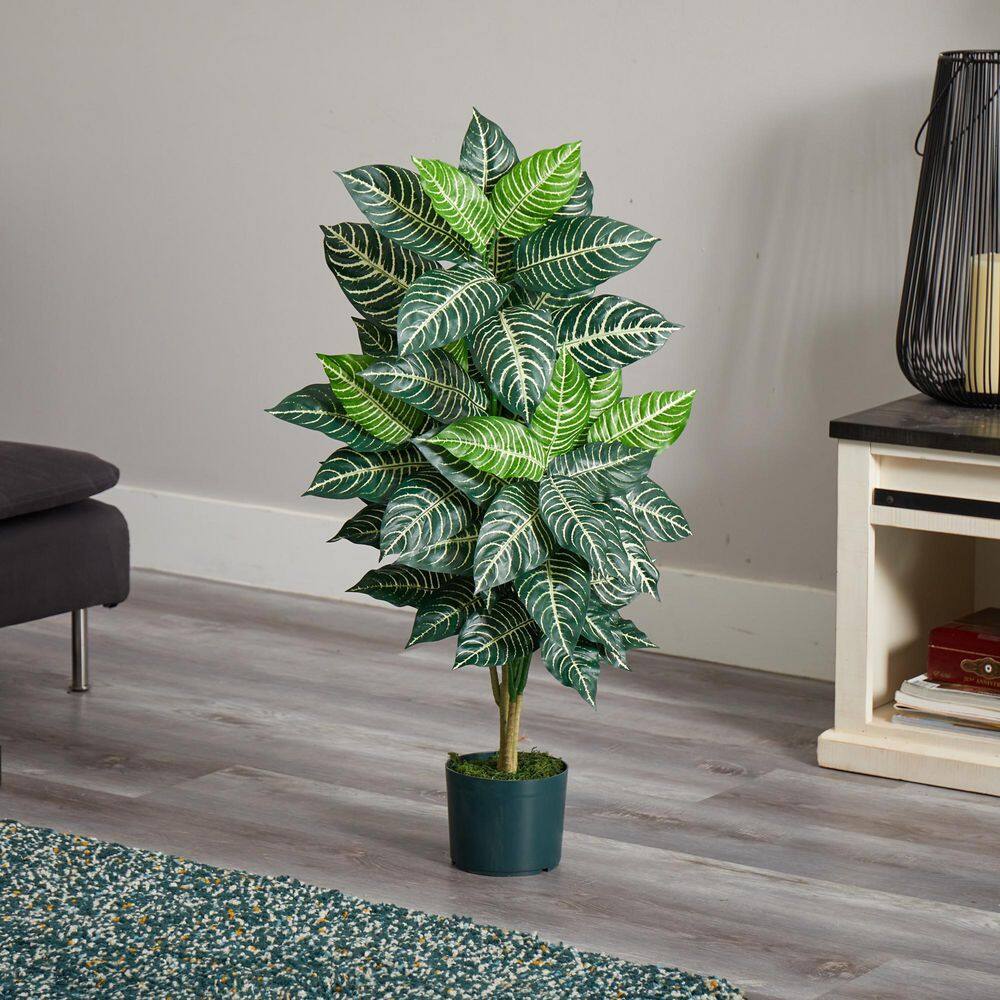 42" Green Silk Zebra Plant in Wicker Pot