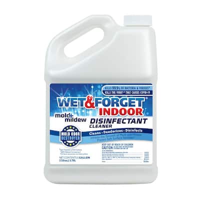 1 gal. Indoor Mold and Mildew Disinfectant Cleaner