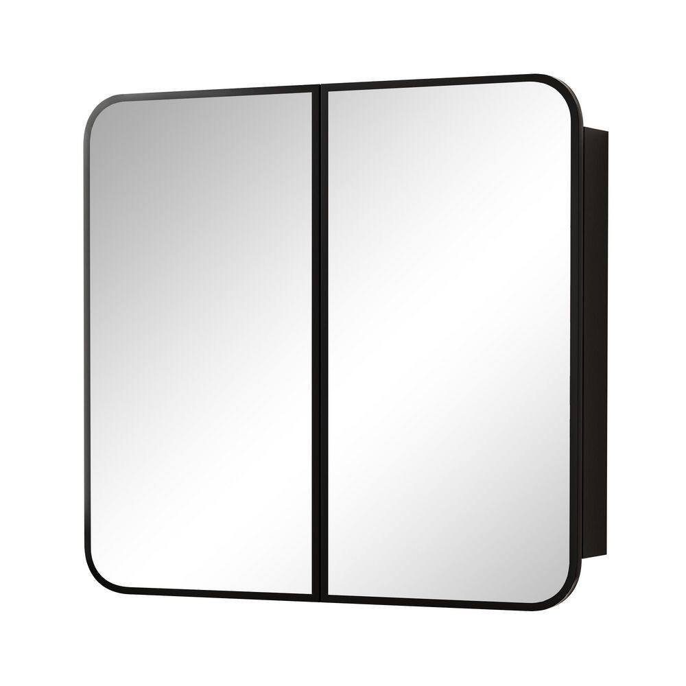 Leva 32 in. W x 30 in. H Rectangular Medicine Cabinet with Mirror, Adjustable Glass Shelves, Double Door, Black Frame price history on PriceWatchPro