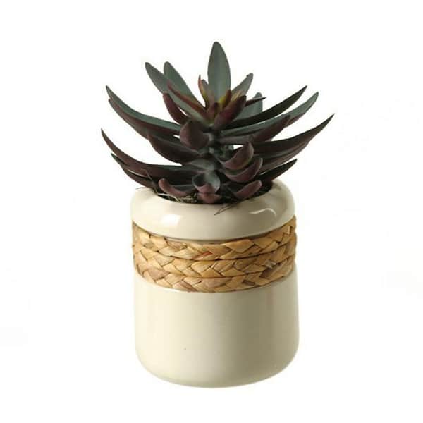 12 in. Indoor Echeveria Artificial Plant Succulent in Ceramic Planter-Faux Greenery for Desk, Shelf, or Tabletop