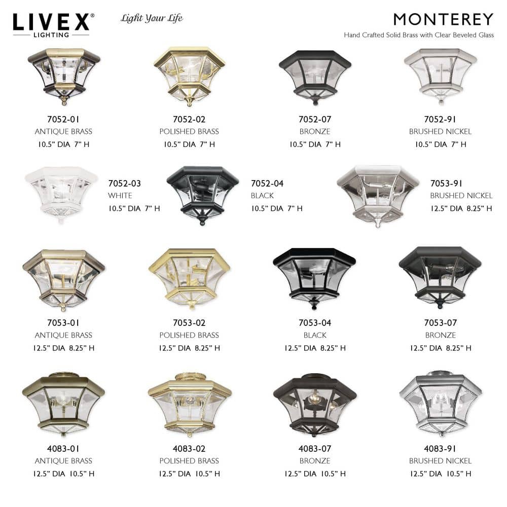 Brushed Nickel 3-Light Indoor/Outdoor Flush Mount with Clear Glass