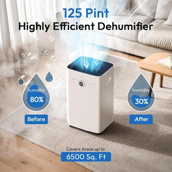 125 pt. 6500 sq. ft. White Dehumidifier for Home and Basement, Drain Hose, Auto Defrost, Continuous Drainage, Timer