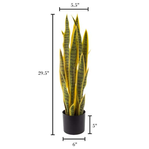 Flora Bunda 15.25 Snake in 4.75 WH Pot in BK Metal Stand - White