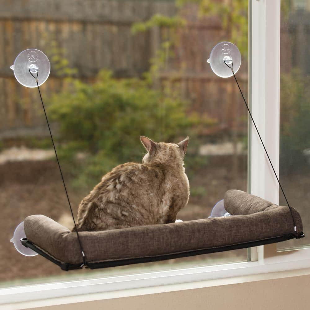 Medium Chocolate EZ Mount Kitty Sill Deluxe with Bolster Bed