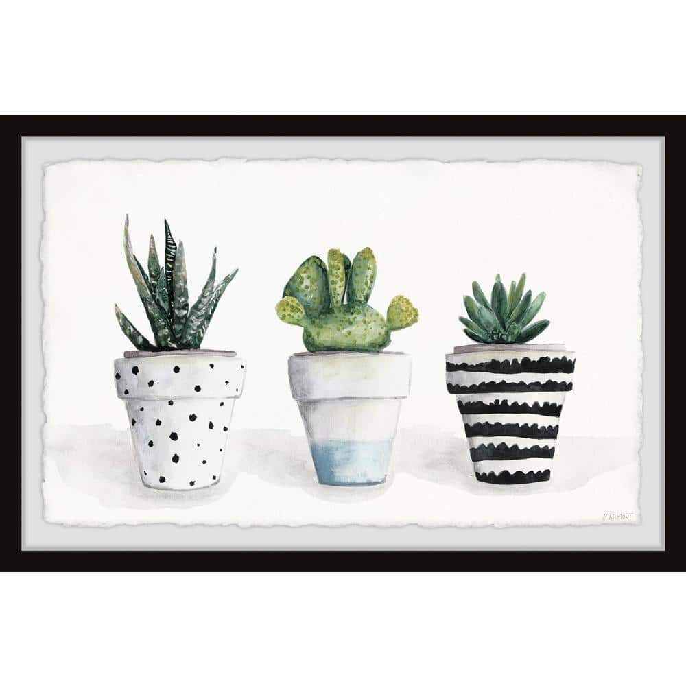 Succulent Trio II by Parvez Taj Framed Nature Art Print 30 in. x 45 in.