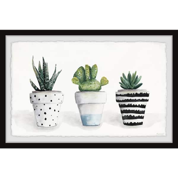 Unbranded "Succulent Trio II" by Parvez Taj Framed Nature Art Print 30 in. x 45 in.