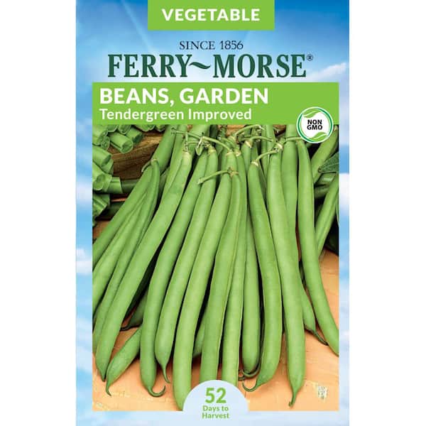 Ferry-Morse Bean Tendergreen Improved Heirloom Fruit Seed