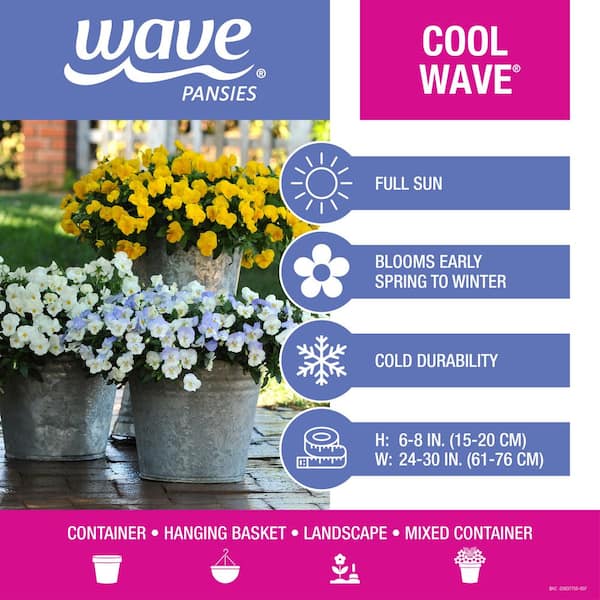 Cool Wave 1.2 Gal. Viola Cool Wave Pansy Annual Plant Mix with