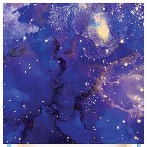 VENICE BEACH Collections Alcohol Inks Design by Sarah Wahl 1-Piece Unframed Canvas Drawing Print Abstract Poster Art Print 30 in. x 30 in.