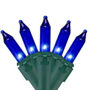 Set of 100 Blue Mini Christmas Lights 2.5 in. Spacing with Green Wire