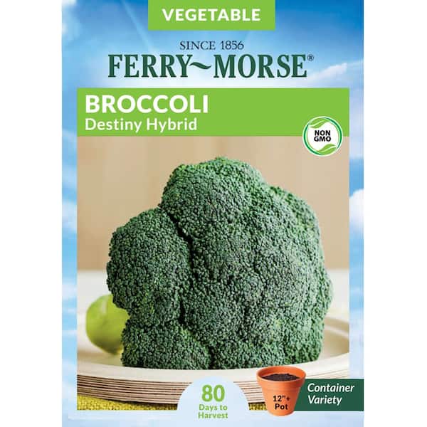 Broccoli Destiny Hybrid Vegetable Seeds