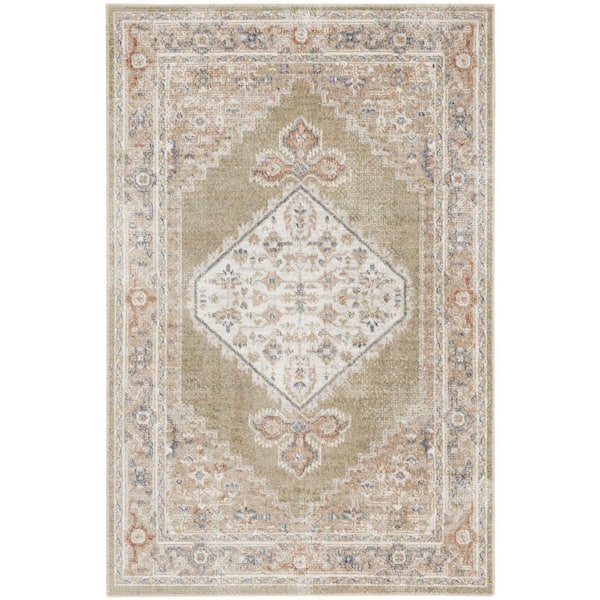 Sage 4 ft. x 6 ft. Oriental Power Loom Distressed Washable Area Rug