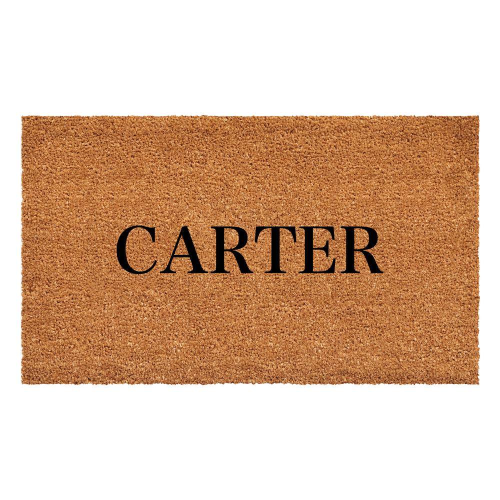 Bold Carter Multi-Colored 17 in. x 29 in. Indoor or Outdoor Doormat price history on PriceWatchPro