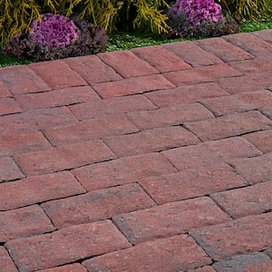 Clayton 7 in. L x 3.5 in. W x 1.77 in. H Red/Charcoal Concrete Paver