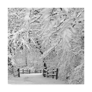 14 in. x 14 in. Winter Wonderland White by Incredi