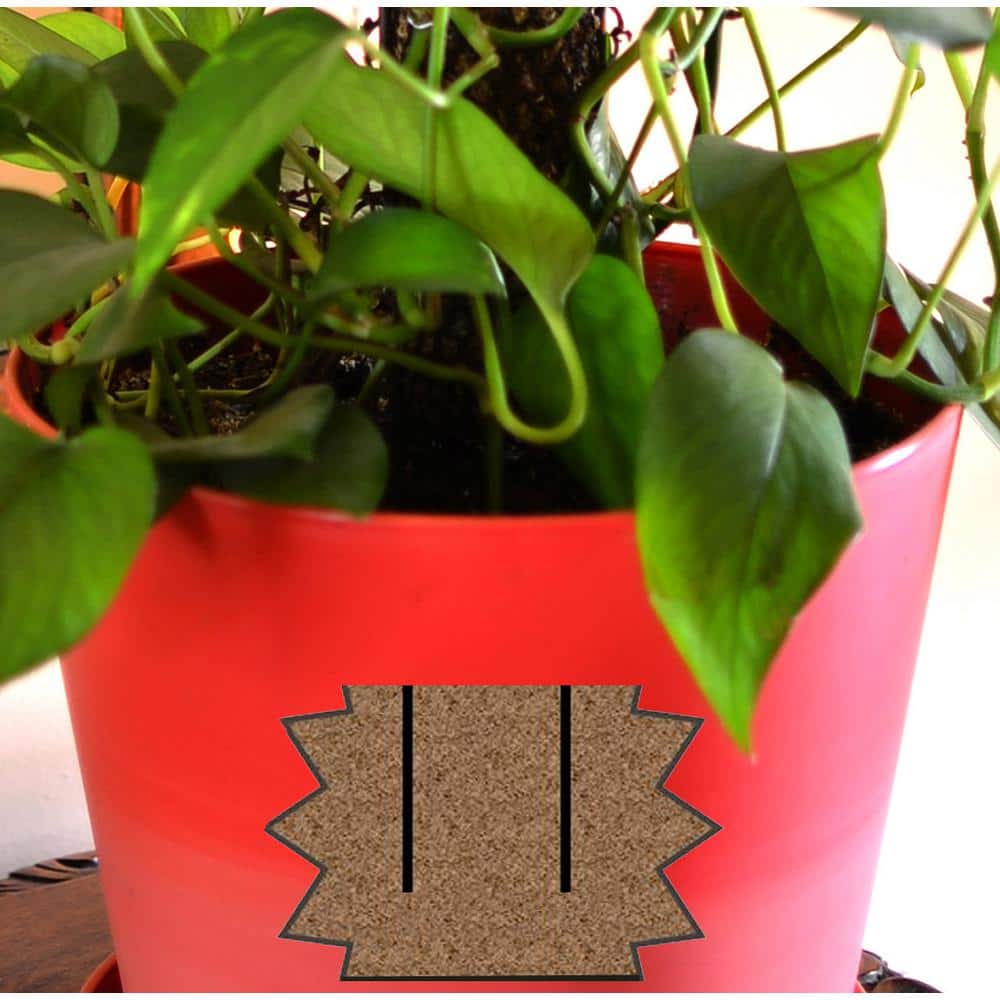 24" Brown Sphagnum Moss Plant Support Pole