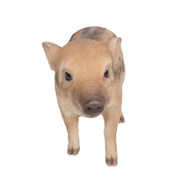 Wild Boar Standing- Garden Statue