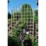 https://images.thdstatic.com/productImages/0edc0495-89a9-491f-875f-2a9a36bc0524/svn/browns-tans-dura-trel-garden-trellises-11174m-64_65.jpg