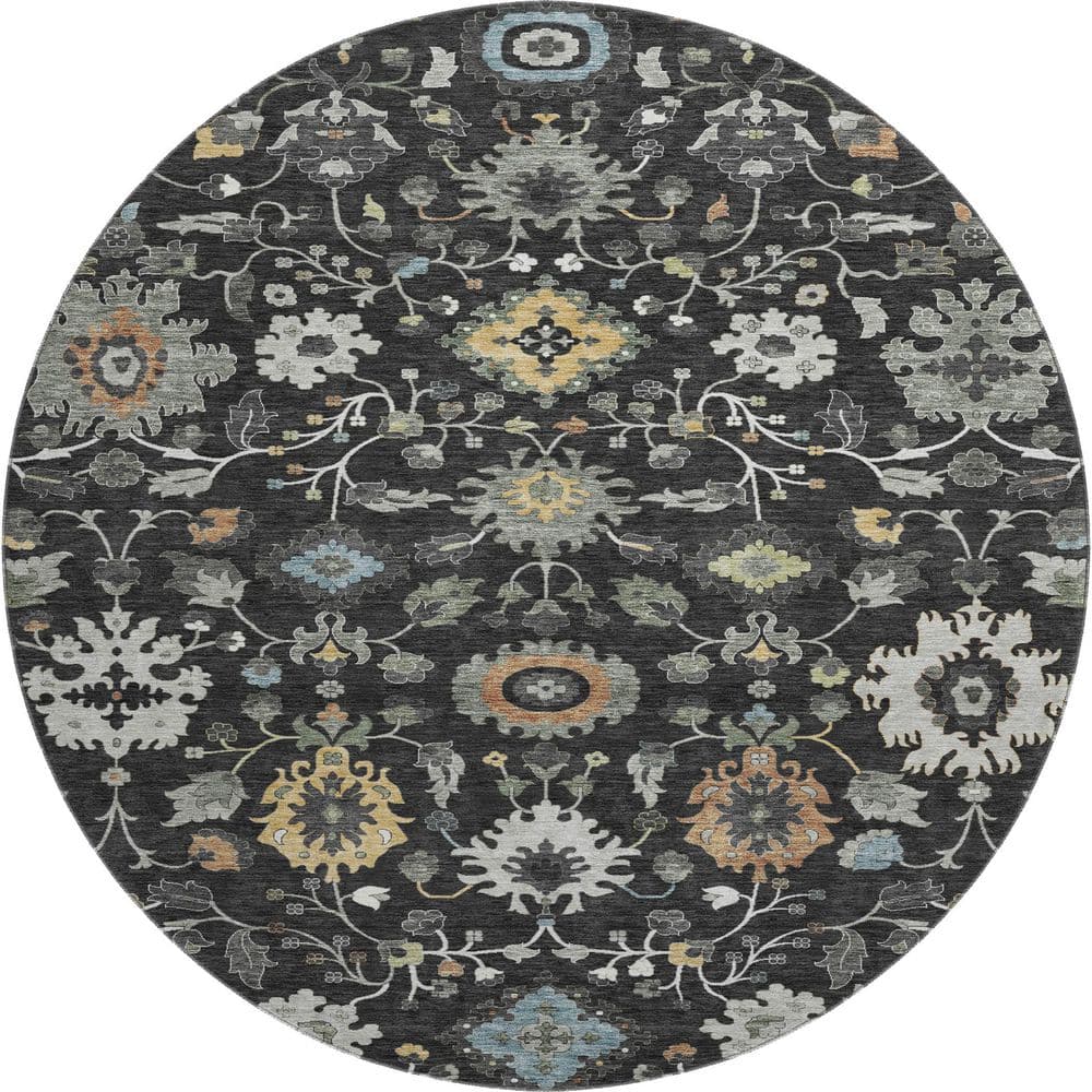 Mayfield Premium Machine Washable Abstract AMF2458 Black 8 ft. x 8 ft. Round Rug price history on PriceWatchPro