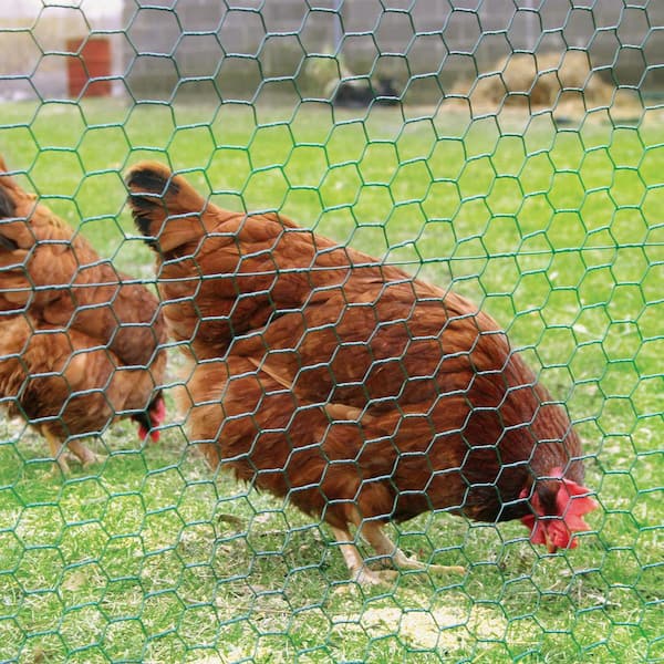 YARDGARD 4 ft. x 150 ft. 20 GA Poultry Netting-Galvanized Steel 2 in. Mesh 308496B