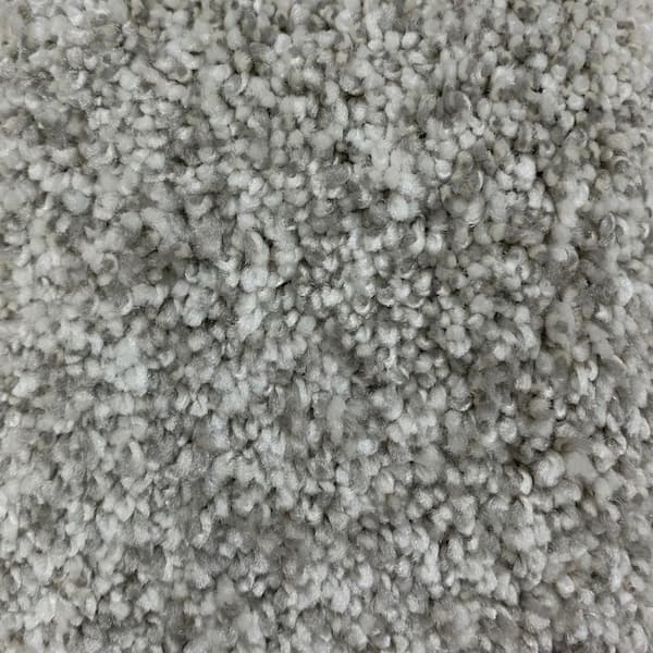 Lifeproof 8 in. x 8 in. Texture Carpet Sample - Hazelton II - Color Appeal